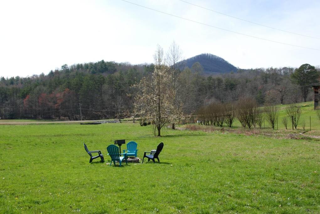 Cozy Cottage With Full View Of The Mountains! 블루리지 외부 사진